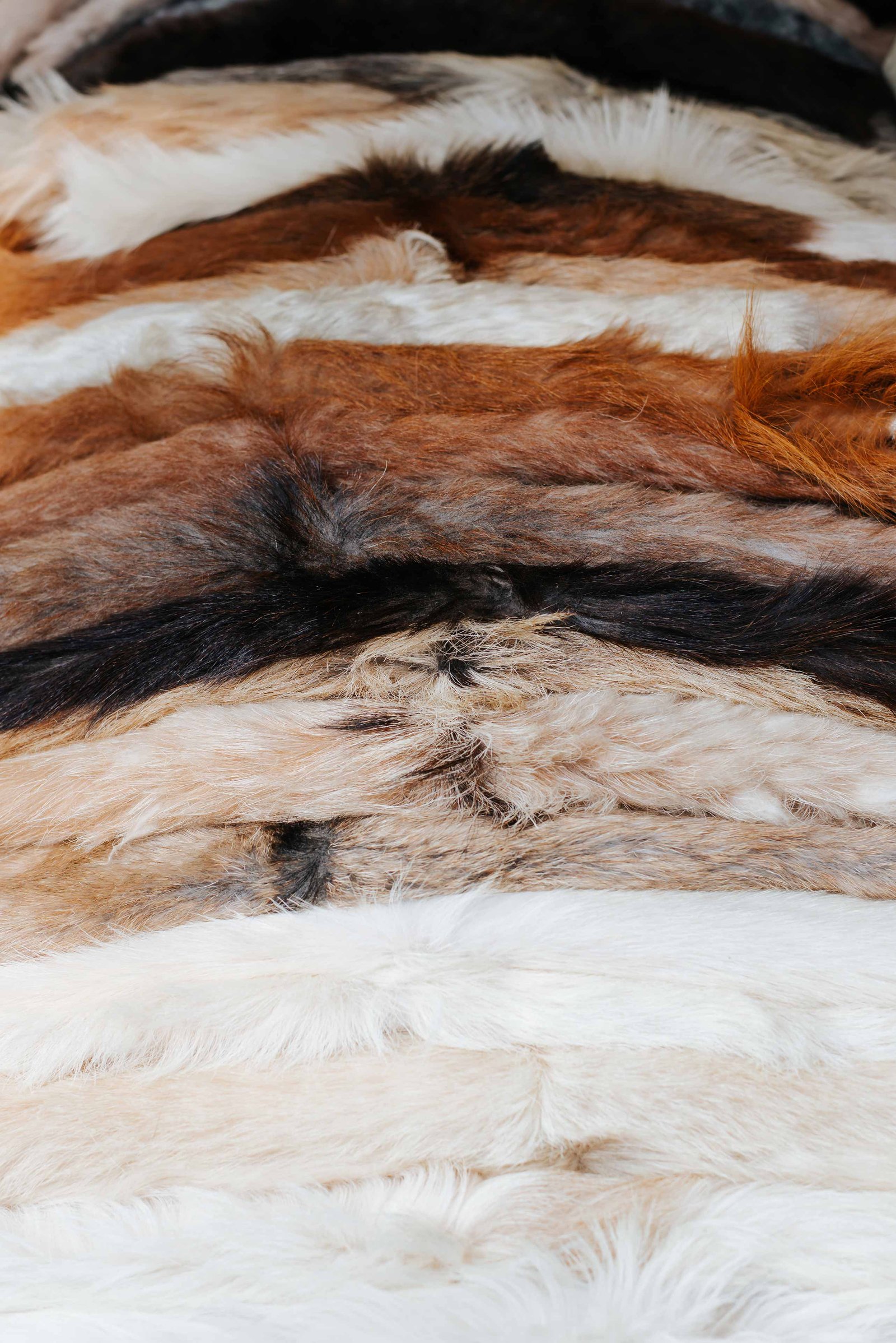 multicolored row of fur skins of wild animals